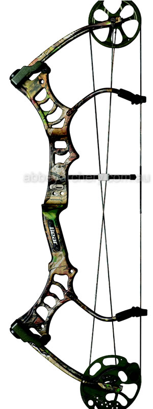 Bear Legion Camo image