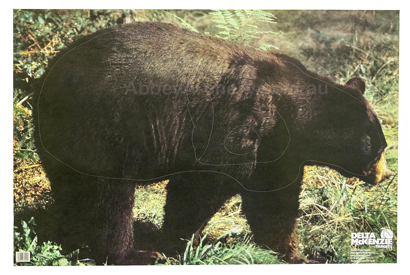 Bear Animal Target Face large image. Click to return to Bear Animal Target Face price and description