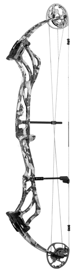 Bear Revival image