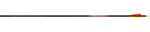 Beman ICS Hunter Junior arrow dozen - click for more information