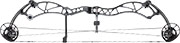 Bowtech Reckoning 38 - click for more information
