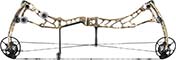 Bowtech Solution SD - click for more information