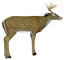 Delta Elite Sneak Whitetail Buck - click for more information