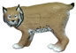 Delta Elite Canadian Lynx - click for more information
