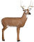 Delta McKenzie Bloodline Buck XL - click for more information