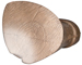 Delta McKenzie Elite Antelope Replacement Core - click for more information
