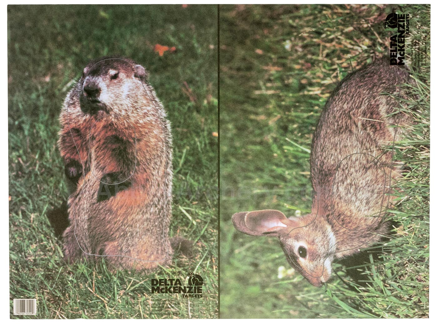 Rabbit &amp; Woodchuck Animal Target Face