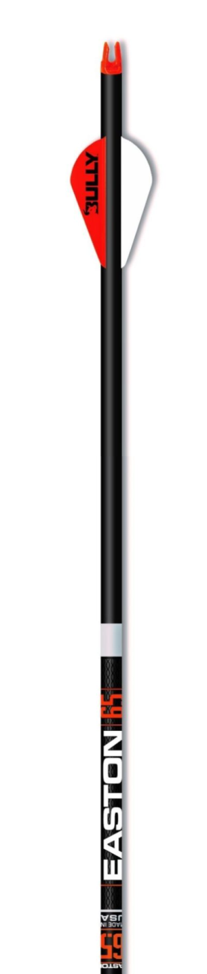 Easton 6.5 BowHunter arrow dozen image