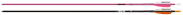 Easton Stalker 1816 arrow dozen - click for more information