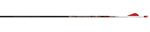 Easton 6mm BloodLine arrow dozen - click for more information