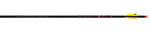 Easton Full Bore arrow dozen - click for more information
