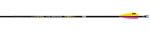 Easton X10 ProTour arrow dozen - click for more information