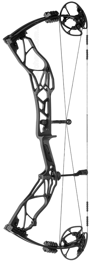 Elite Option 6 image
