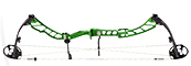 Elite Victory 37 Target - click for more information