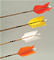 Wood Hunting arrow with feathers and 2 blade broadhead dozen image