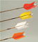 Wood Hunting arrow with vanes and 2 blade broadhead dozen image