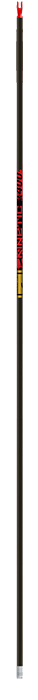 Gold Tip Kinetic arrow dozen image