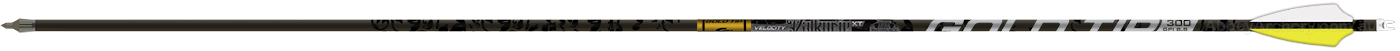 Gold Tip Valkyrie XT arrow dozen large image. Click to return to Gold Tip Valkyrie XT arrow dozen price and description