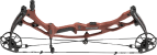 Hoyt Carbon RX10 - click for more information