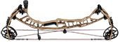 Hoyt Z1S - click for more information