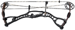 Hoyt CRX 32 Target - click for more information