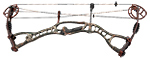 Hoyt CRX 32 Camo - click for more information