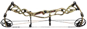 Hoyt Carbon Defiant 34 Target - click for more information