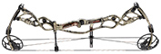 Hoyt Carbon Defiant 34 - click for more information