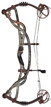 Hoyt Carbon Element Camo image