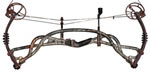 Hoyt Carbon Element Camo - click for more information