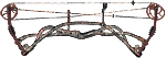 Hoyt Carbon Matrix Plus Camo - click for more information