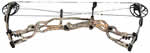 Hoyt Carbon Spyder 34 - click for more information