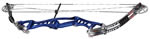 Hoyt Contender - click for more information