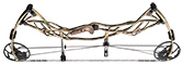 Hoyt Defiant - click for more information