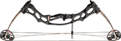 Hoyt Fireshot - click for more information