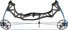 Hoyt Klash Target - click for more information