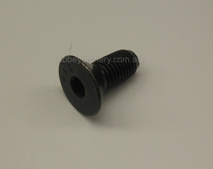 Hoyt Limb Pocket Screw flat head image