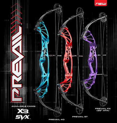 Hoyt Prevail 2017 Target Bows