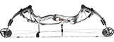 Hoyt Prevail FX - click for more information