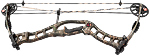 Hoyt Pro Hawk Target - click for more information