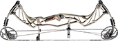 Hoyt Pro Defiant - click for more information