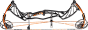 Hoyt Pro Defiant Target - click for more information