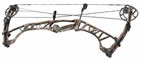 Hoyt Spyder 34 - click for more information