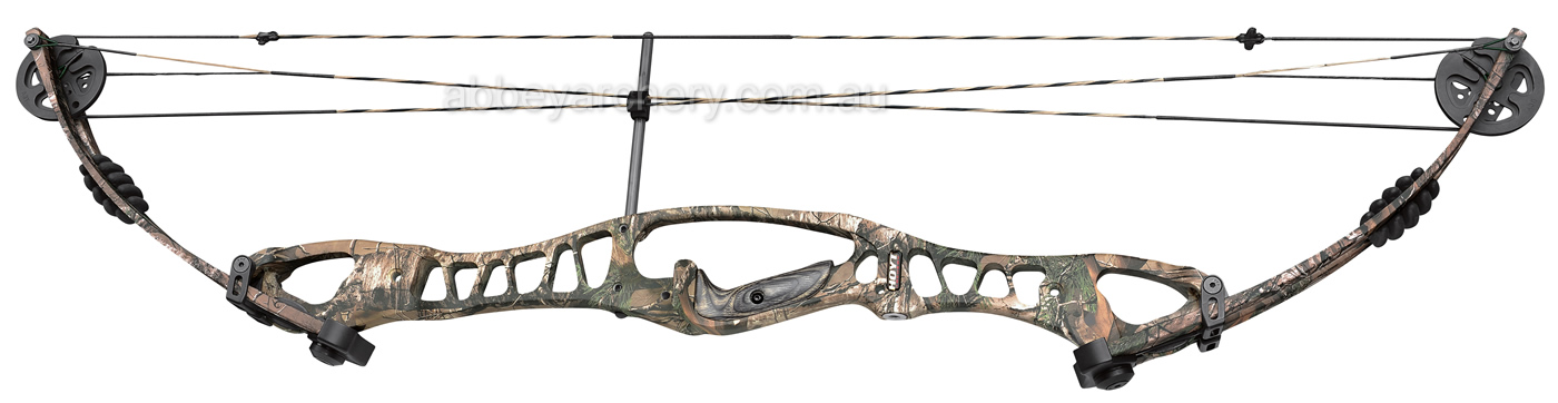 Hoyt Tribute large image. Click to return to Hoyt Tribute price and description