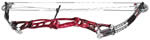 Hoyt Vantage Elite Plus - click for more information