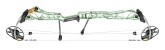 Mathews Title 36 - click for more information