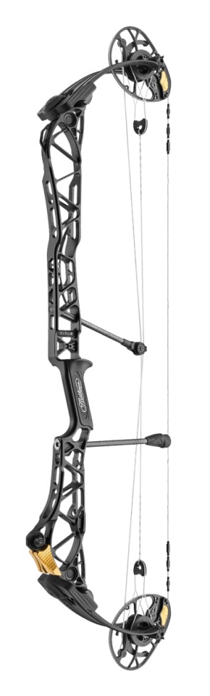 Mathews Title 38 image