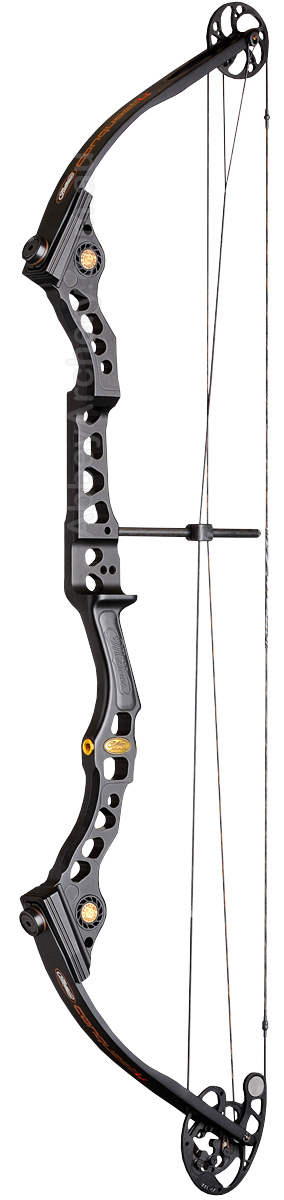 Mathews Conquest 4 image
