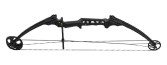 Mathews Gen X - click for more information