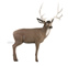 Delta McKenzie Pro 3D Mule Deer image